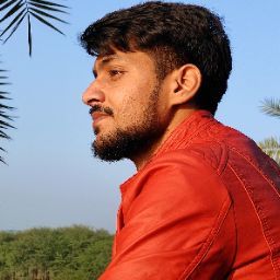 mayank raghav's profile image