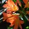 Ange L.'s profile image