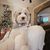 Chris Murray Stover's profile image