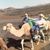 Judy Western's profile image