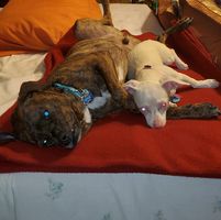 Kristine Murray Perryman's profile image