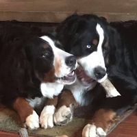 Teri DeMaria's profile image