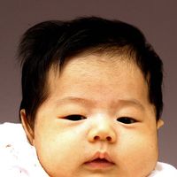 Wen Chen's profile image