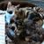 Tammy Moodenbaugh's profile image
