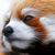 Tiorteil Geinsear Saoih's profile image