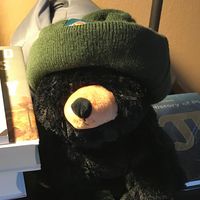 Kelvin Woelk's profile image