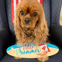 Brenna Helgerson's profile image