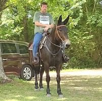 Leonard H Gill's profile image