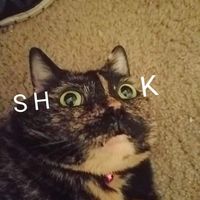 Sky Rose Shook-Rivera's profile image