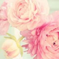 Angela Pullen's profile image