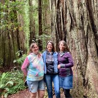 Suzanne Luchs's profile image