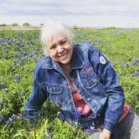 Nancy Stark Blumenberg's profile image
