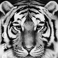 Dtv Vo's profile image