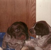 Phyllis McNall's profile image