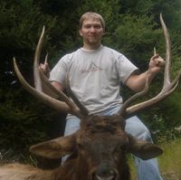 Shawn Randall's profile image