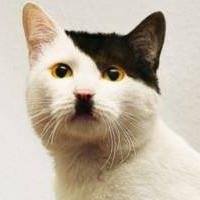 Travis Arens's profile image