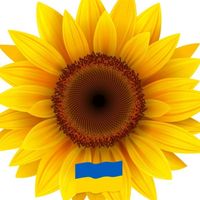 D Scott Hewitt's profile image