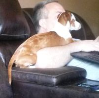 Alan Young's profile image