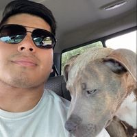Adrian Jaimes Salgado's profile image