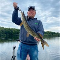 Dennie Howell's profile image