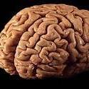 Michael Hopkins's profile image