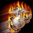 Johnny McCalom's profile image