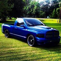 Noah Phillips's profile image