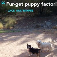 Michele Kennedy's profile image