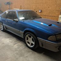 Jamie Tollison's profile image