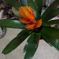 Catherina Lim's profile image