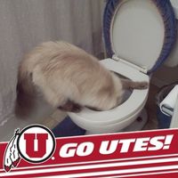 Lisa Eckersley's profile image