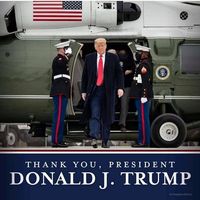 Linda Molosky's profile image