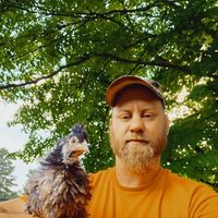 Jason Bonner's profile image