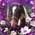 Kimberlee Market-Burrow's profile image