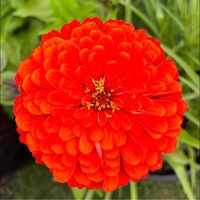 Mary Ann's profile image