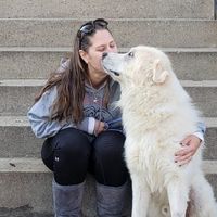 Andrea Wendlandt's profile image