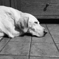 Robyn Niver's profile image