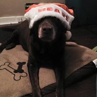 Sandy Parker's profile image