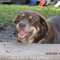 Larry Rome's profile image