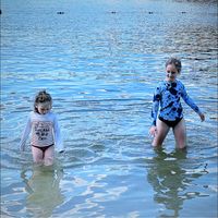 Amie M. Kremer-Blankenship's profile image