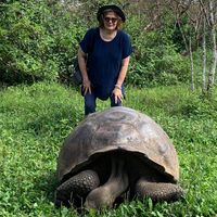 Stephanie Konkol's profile image