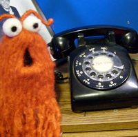 Natalia Tomic's profile image