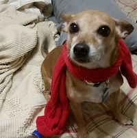 Jaime See's profile image