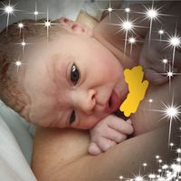 Amanda Kelly's profile image