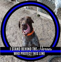Vickie Cross's profile image
