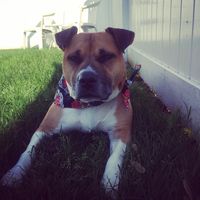 Graceann Duczeminskyj's profile image