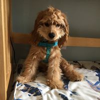 Theresa LP's profile image