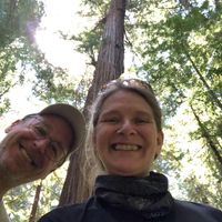 Rene Pettit's profile image