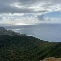 Lori NY's profile image