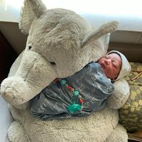Samm Gonzales Howard's profile image